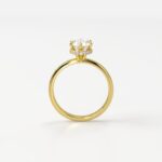 Solitaire with Eternity Halo Engagement Ring - Image 2