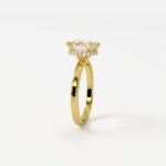 Solitaire with Eternity Halo Engagement Ring - Image 4