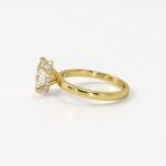 Solitaire with Eternity Halo Engagement Ring - Image 3