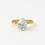 Solitaire with Eternity Halo Engagement Ring